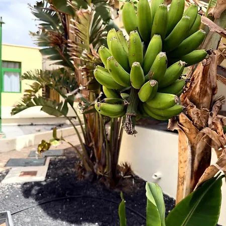 Complejo Bounganville Con Piscina Fuerteventura Appartamento *